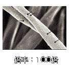 �{��100�{
