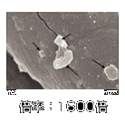 �{��1600�{