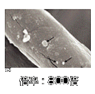 �{��800�{